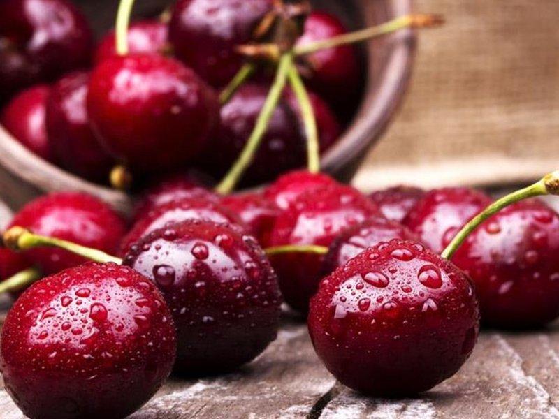 Вишня купить саженцы из питомника в Димитровграде